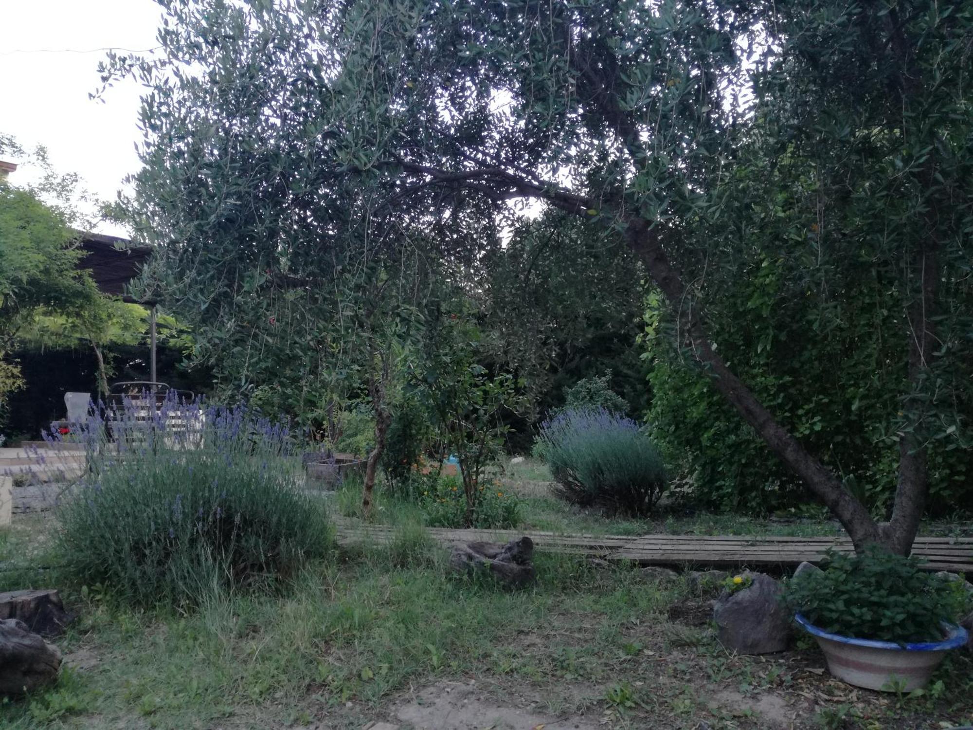 Casa Con Jardin Y Aparcamiento En Viznar, Junto A Granada Villa Exterior photo